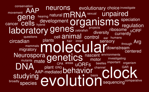 word map of biology interests