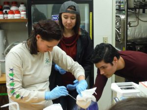 amy tan in lab