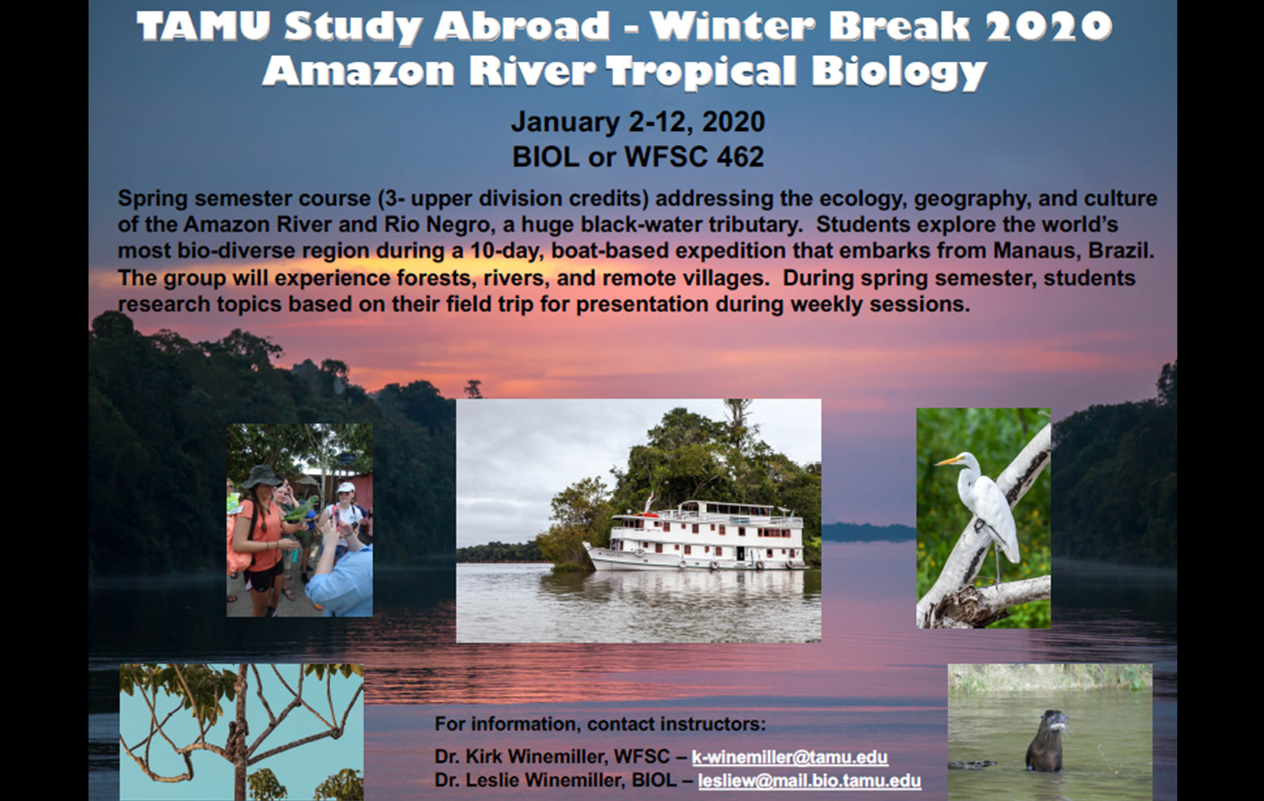 study abroad poster
