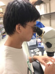 yufeng wan at microscope