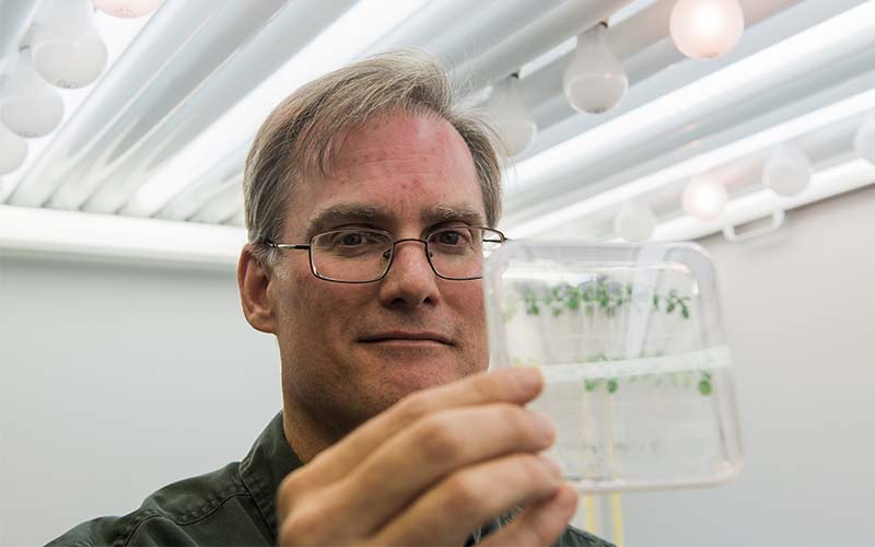 Texas A&M Biologist Wayne Versaw Earns Open Education Champion Award