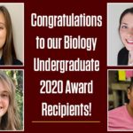 Congratulations Message
