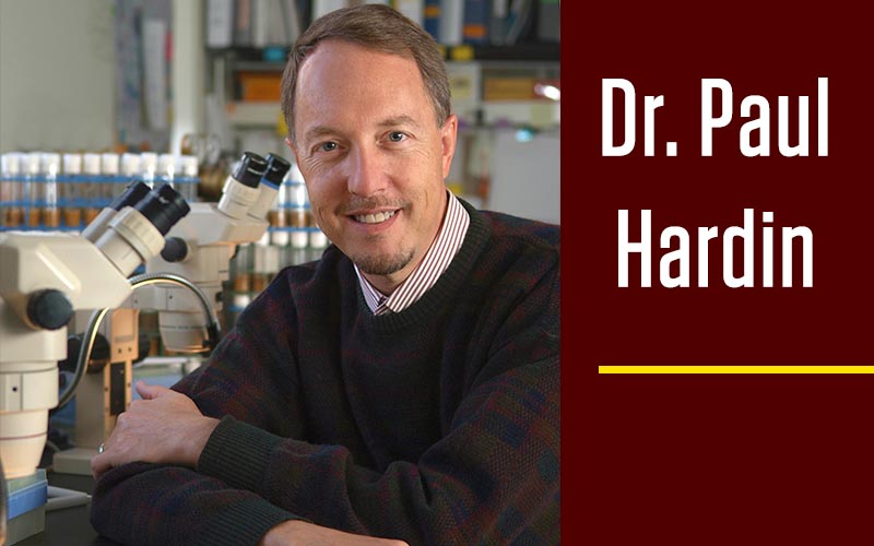 Dr. Paul Hardin Featured in Advancing Academics