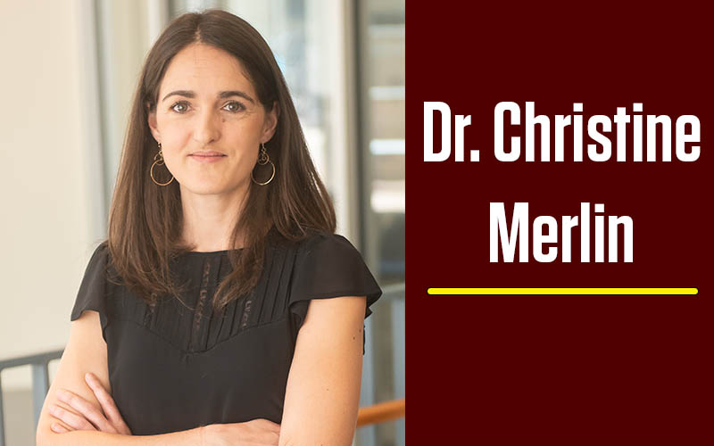 Dr. Christine Merlin Named 2020 Presidential Impact Fellow