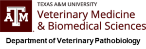 vetmed logo