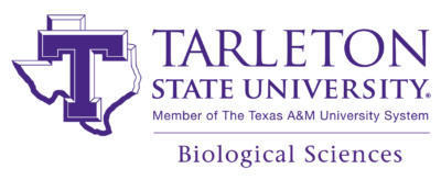 tarleton logo