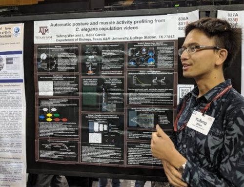 Graduate Student Spotlight: Yufeng Wan