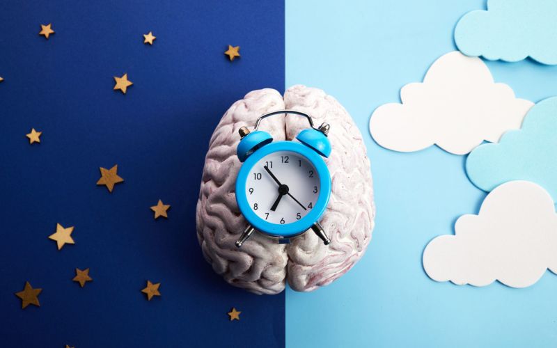 brain split between night and day with clock icon