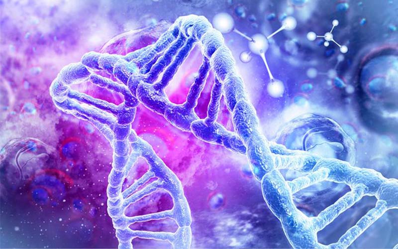 Stock image of DNA