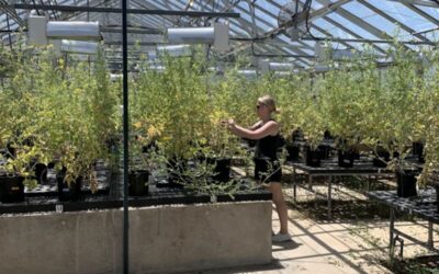 jorja tending to plants