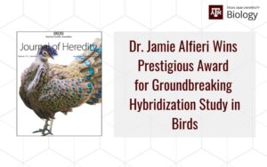 Dr. Jamie Alfieri Wins Prestigious Award for Groundbreaking Hybridization Study in Birds