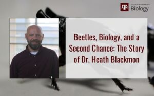Beetles, Biology, and a Second Chance: The Story of Dr. Heath Blackmon