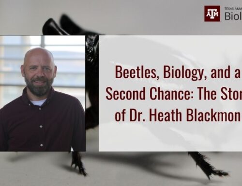 Beetles, Biology, and a Second Chance: The Story of Dr. Heath Blackmon