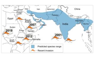map depicting mosquito spread