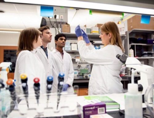 Rewiring Hope: Dr. Jennifer Dulin’s Research Brings New Possibilities for Spinal Cord Injury Recovery