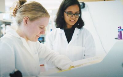 grad and undergrad looking at counter