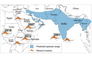map of east africa and India showing predicted species range and recent invasion of mosquitoes