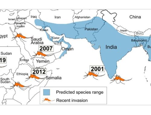 How DNA Variants Shape Survival: Dr. Mahul Chakraborty Explores the Hidden Forces of Evolution