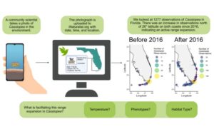 figure showing how communication science gets data from people to papers