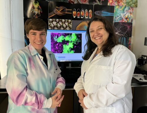 Texas A&M Biologists Overview How Astroglia Influence Behavior Through Calcium Signaling